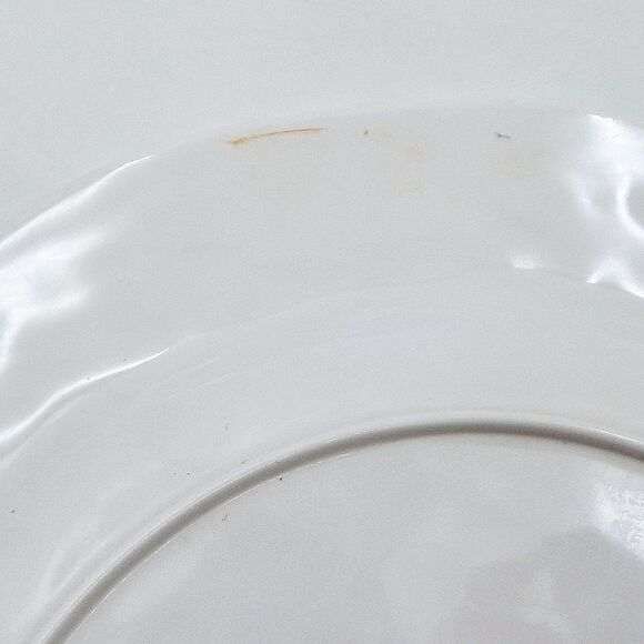 Pier 1 Imports Halloween Melamine Luncheon Plates 9 Inch Blue Black Set/4 - Picture 8 of 11